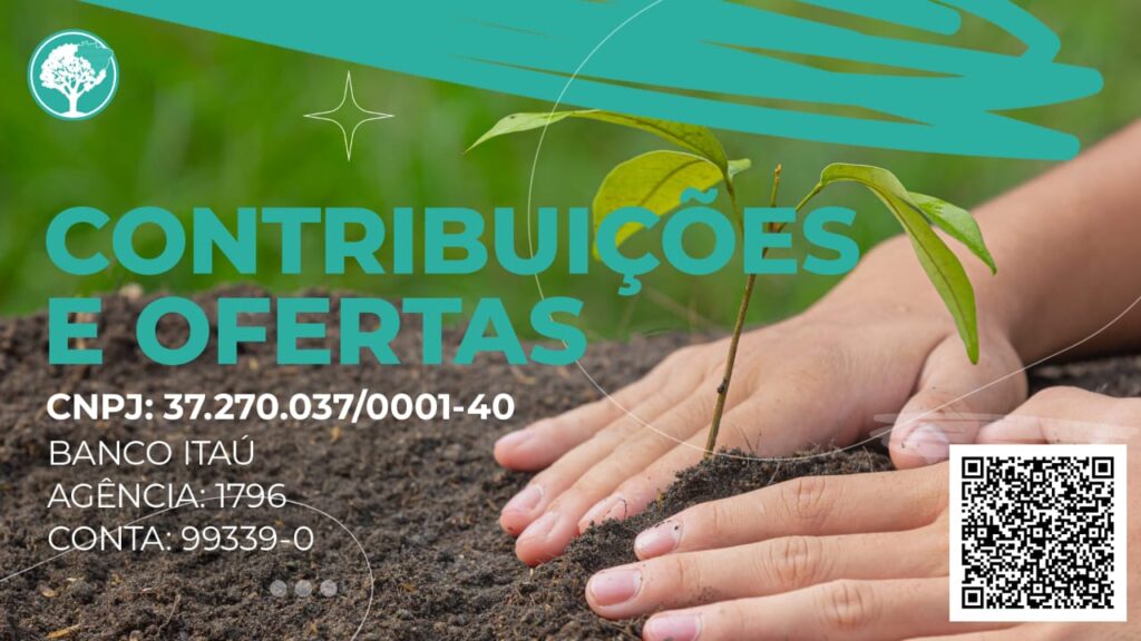 ofertas